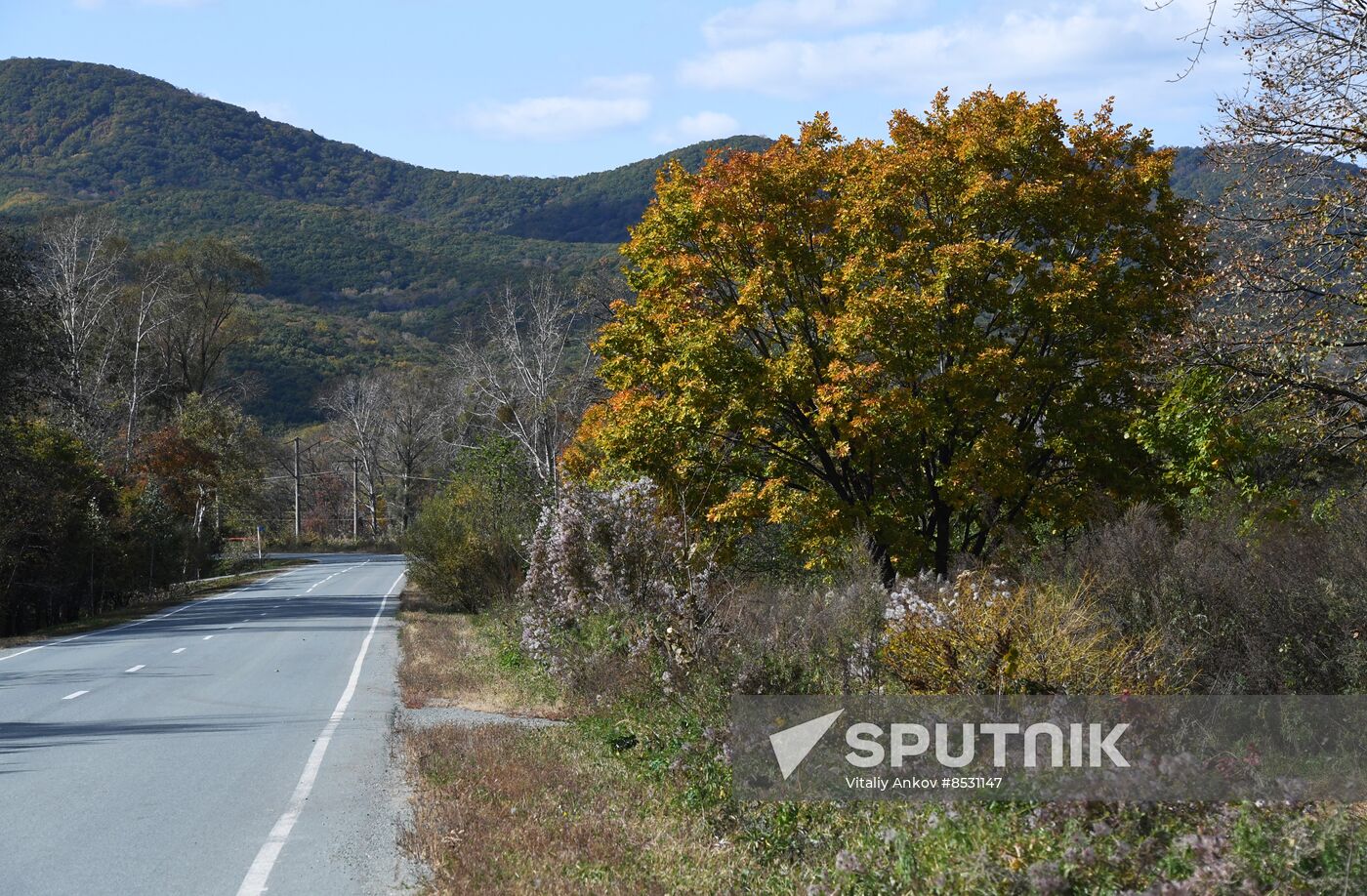 Autumn in Primorye Territory