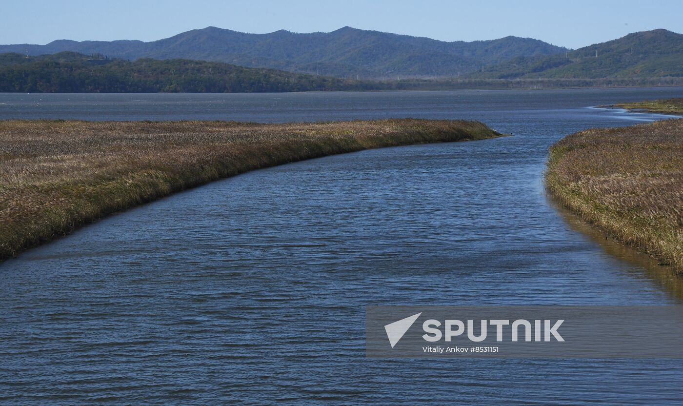 Autumn in Primorye Territory