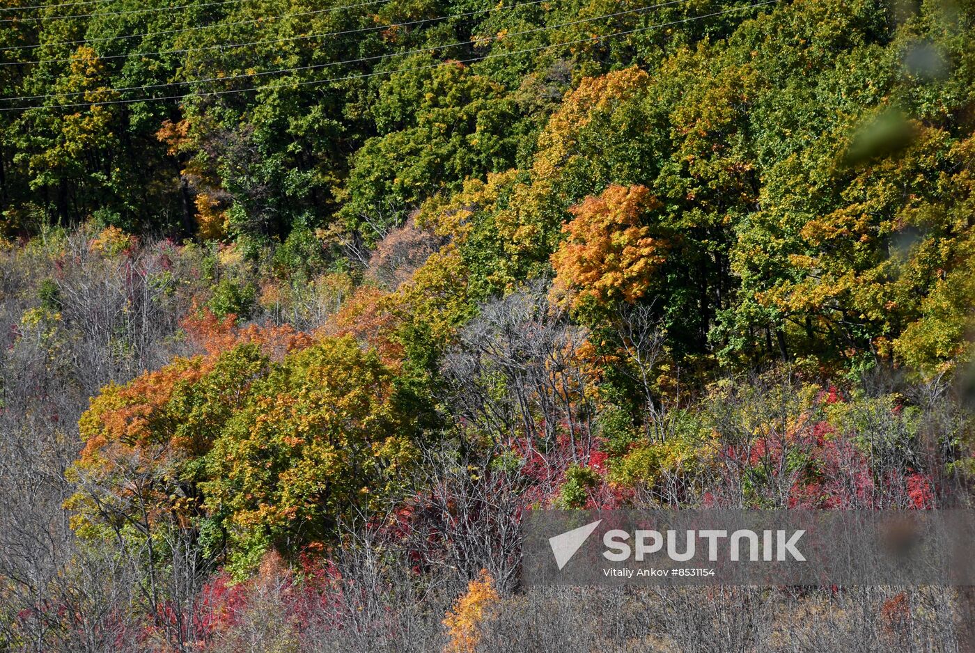 Autumn in Primorye Territory