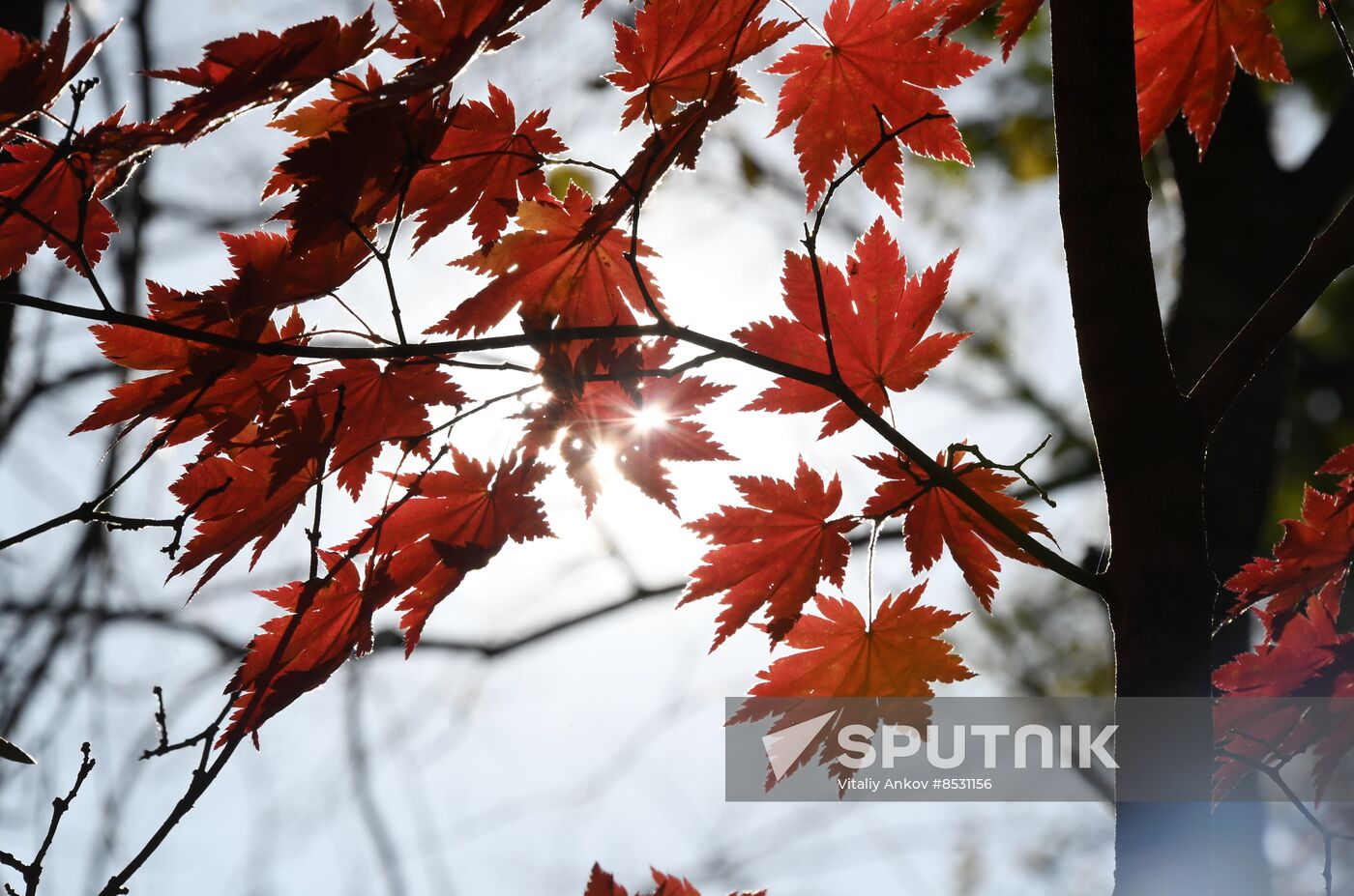 Autumn in Primorye Territory