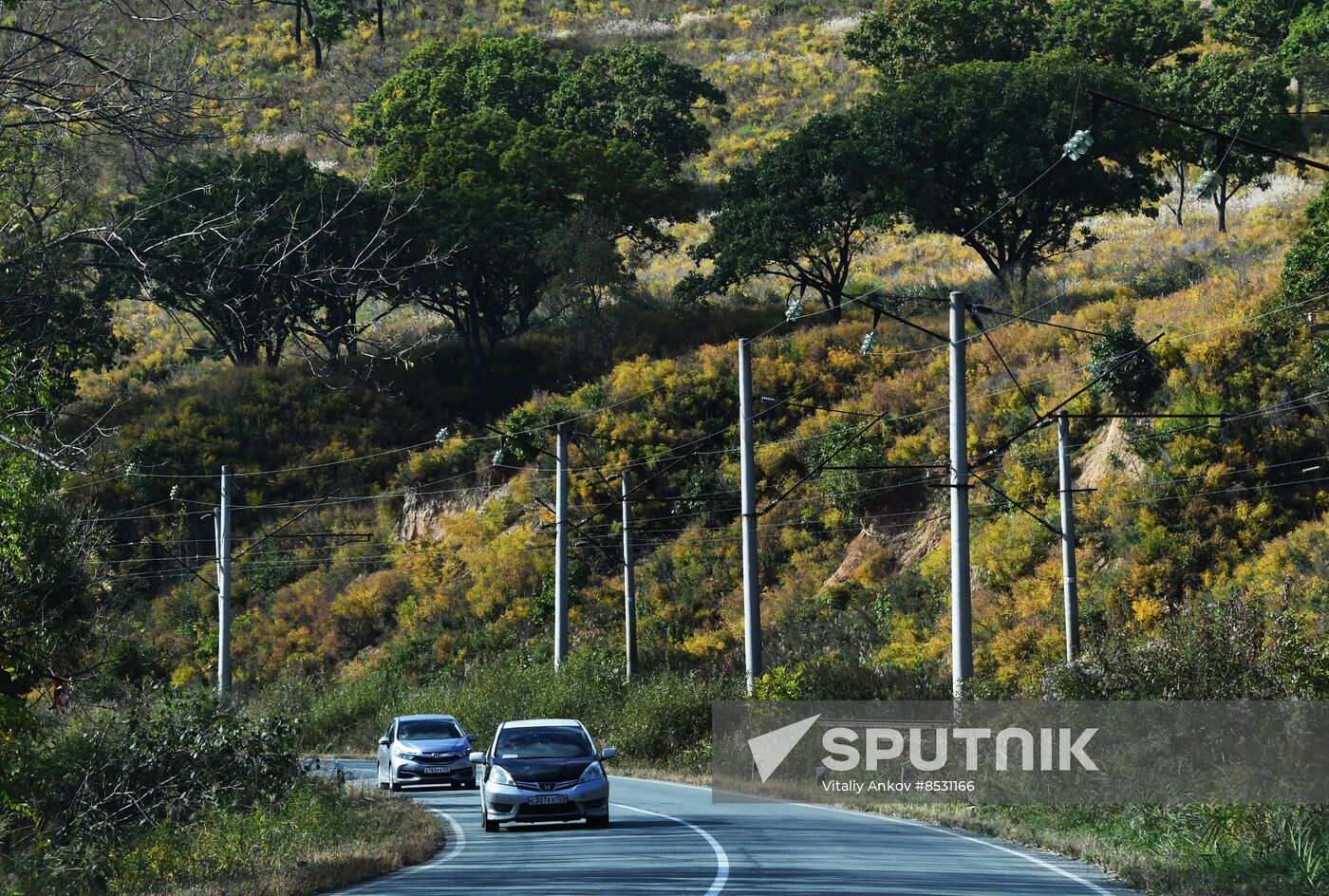 Autumn in Primorye Territory