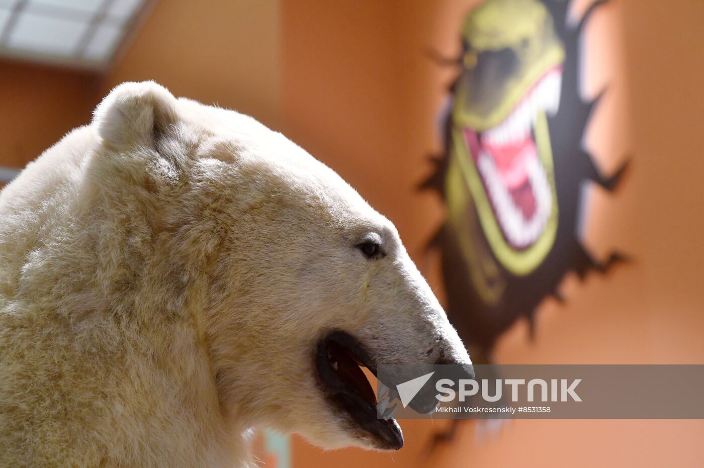Russia Darwin Museum Anniversary