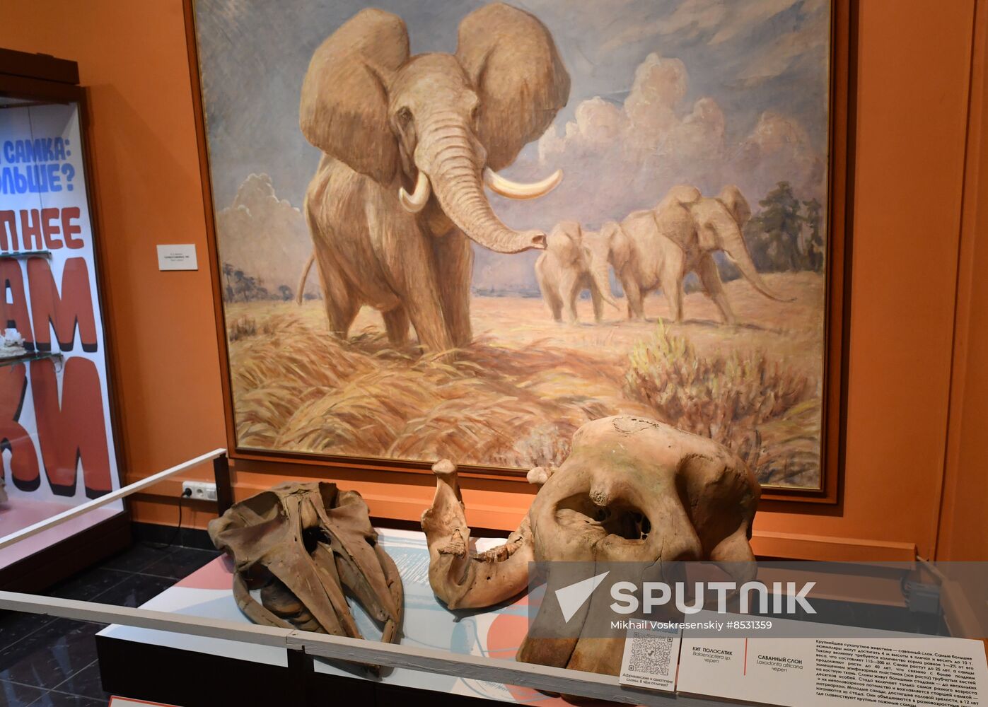 Russia Darwin Museum Anniversary