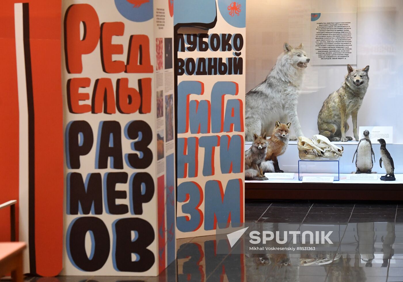 Russia Darwin Museum Anniversary