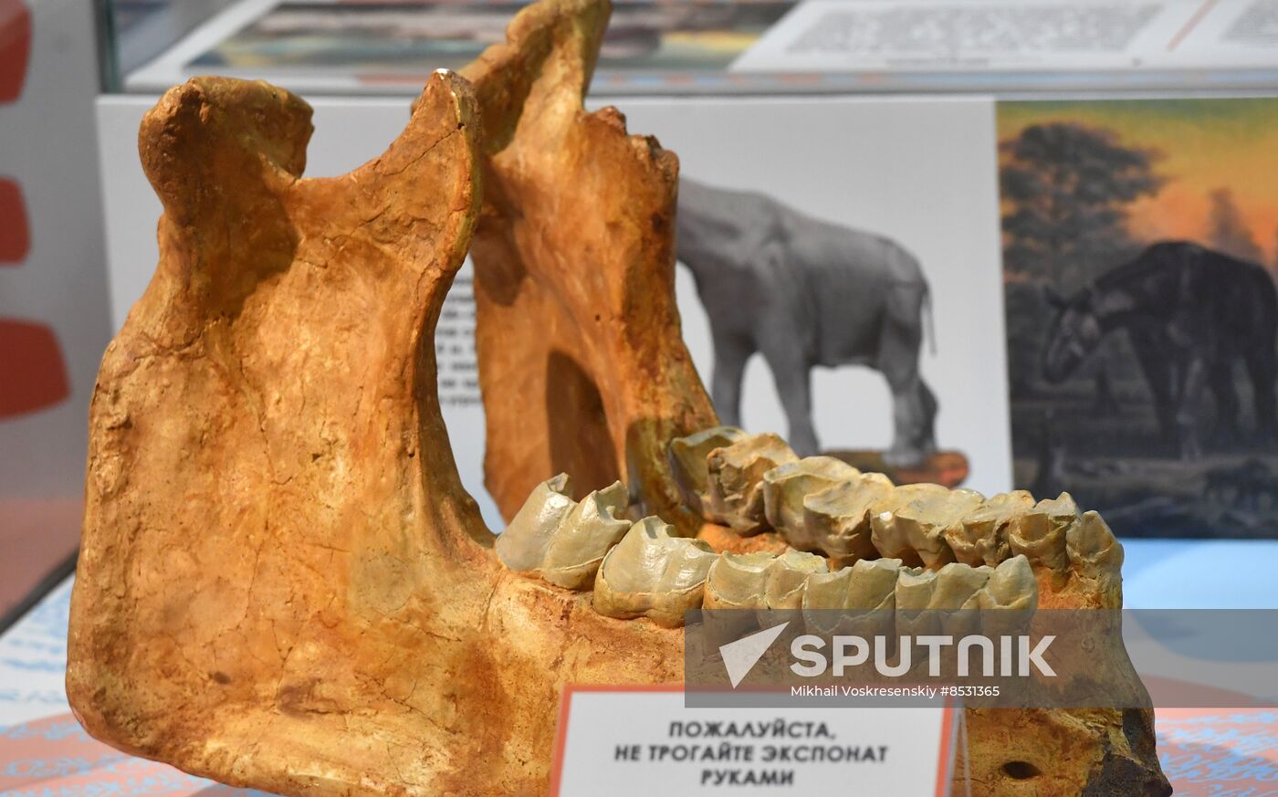 Russia Darwin Museum Anniversary