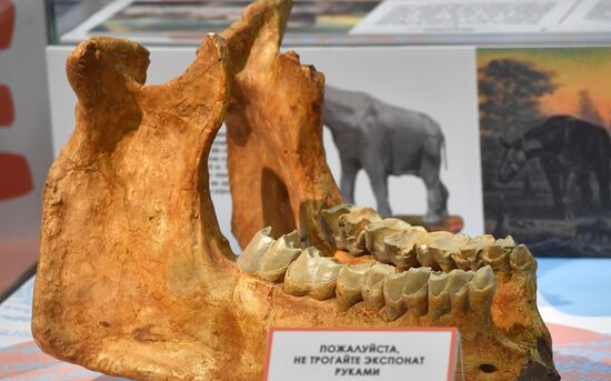Russia Darwin Museum Anniversary