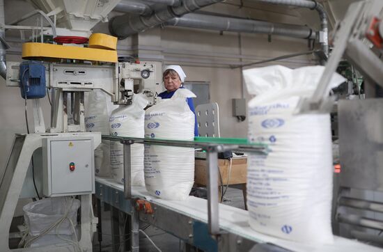 Russia Sugar Industry