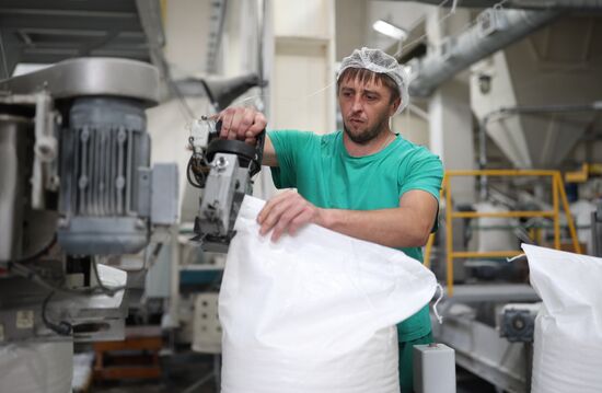 Russia Sugar Industry