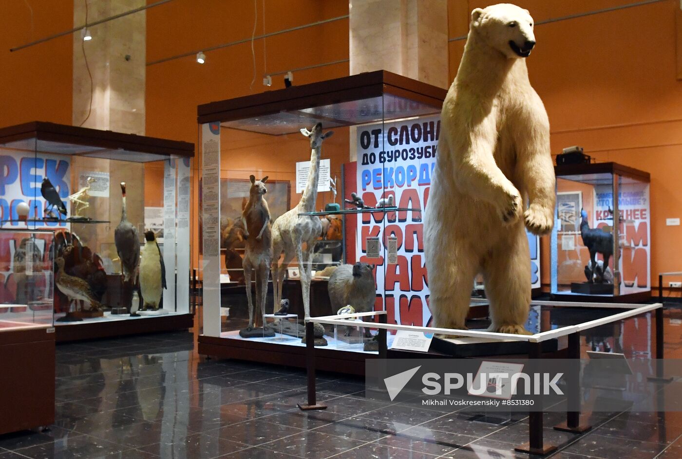 Russia Darwin Museum Anniversary