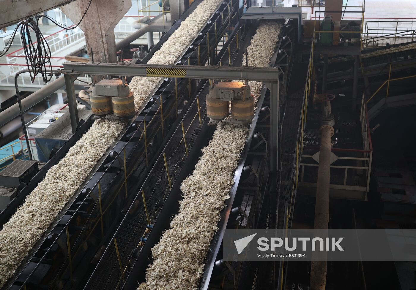 Russia Sugar Industry