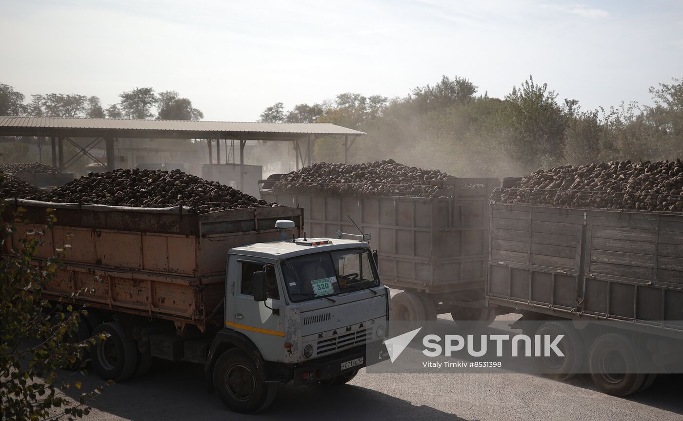 Russia Sugar Industry