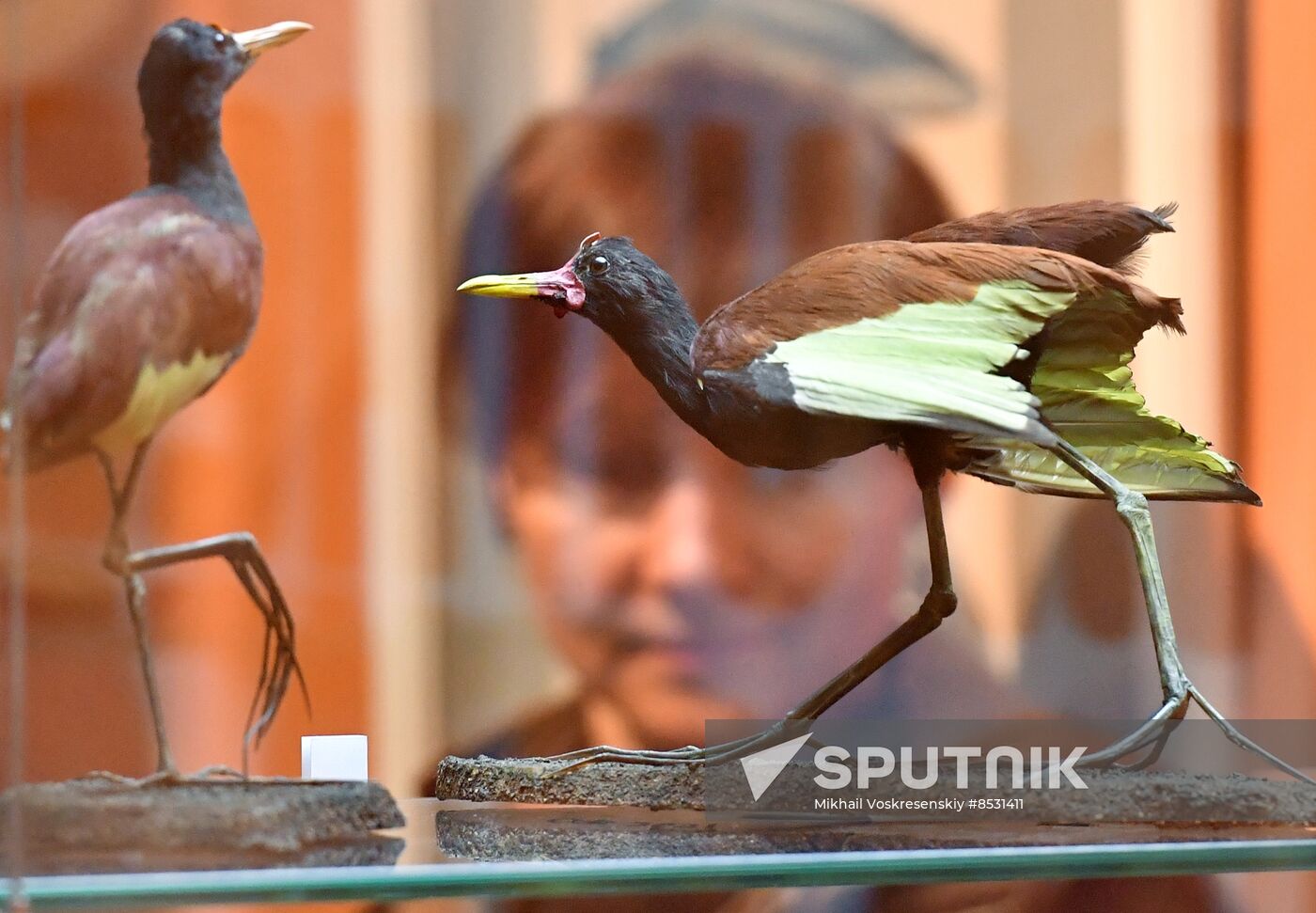 Russia Darwin Museum Anniversary