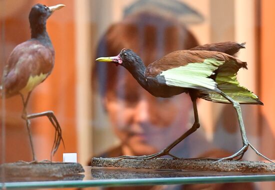 Russia Darwin Museum Anniversary