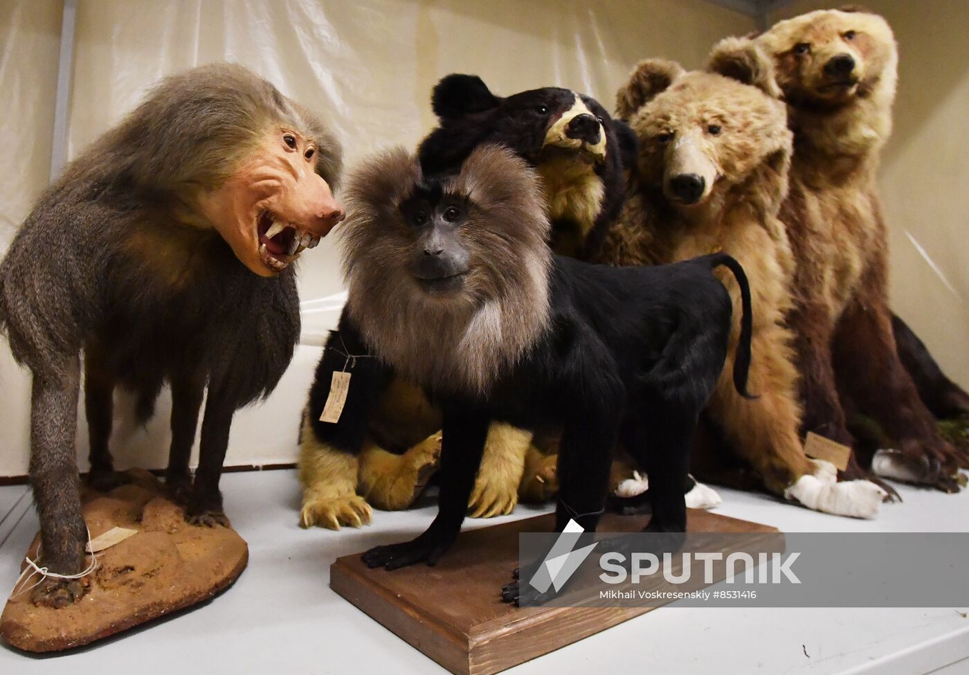 Russia Darwin Museum Anniversary