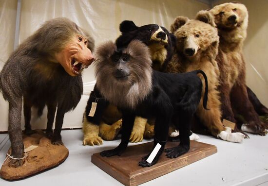 Russia Darwin Museum Anniversary