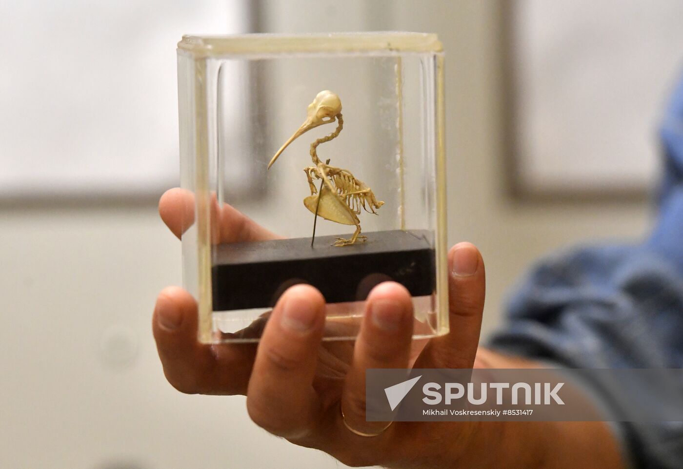 Russia Darwin Museum Anniversary