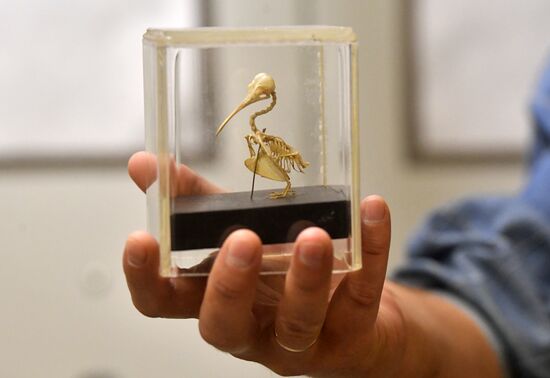 Russia Darwin Museum Anniversary