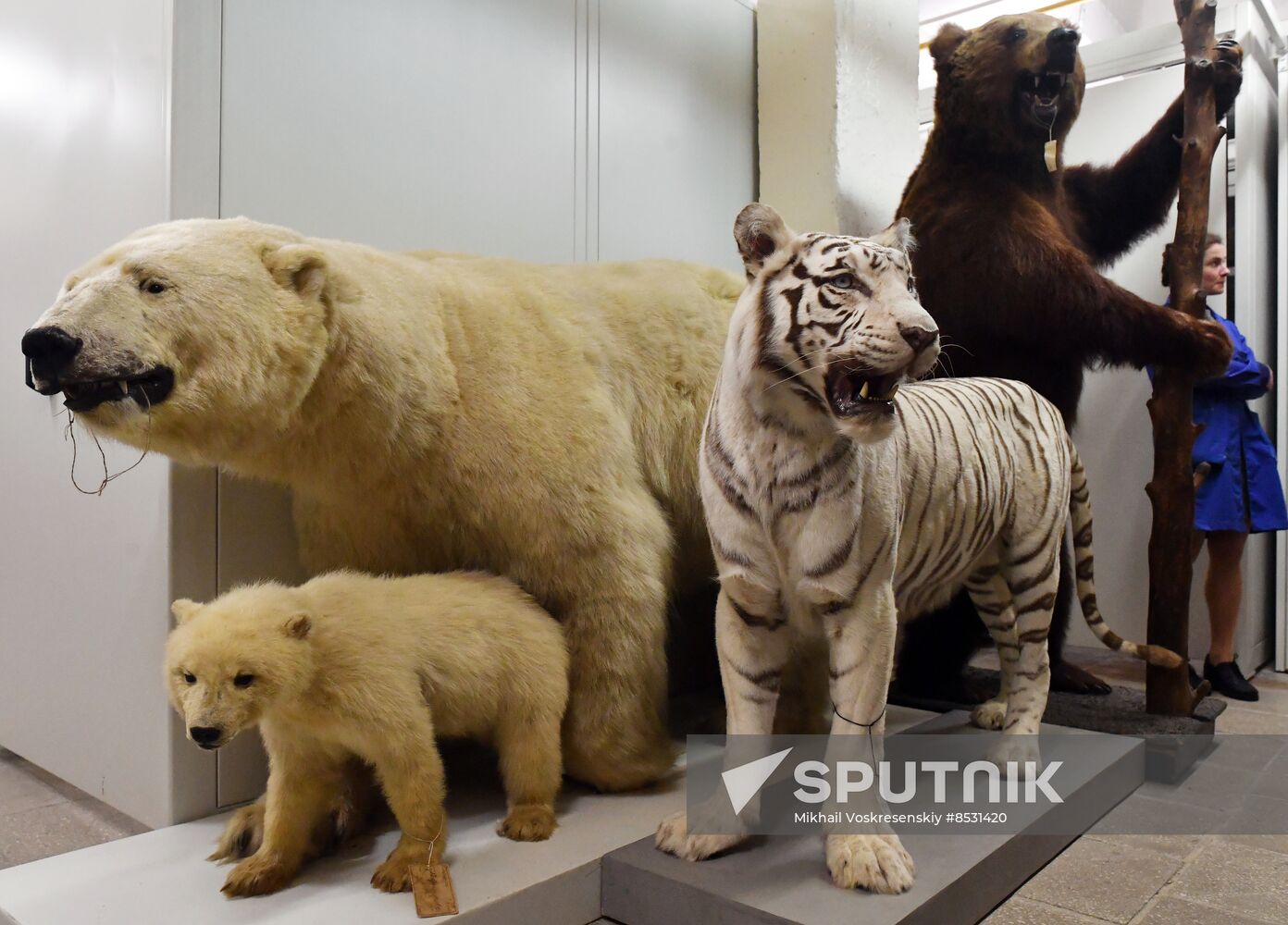 Russia Darwin Museum Anniversary