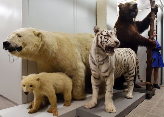 Russia Darwin Museum Anniversary