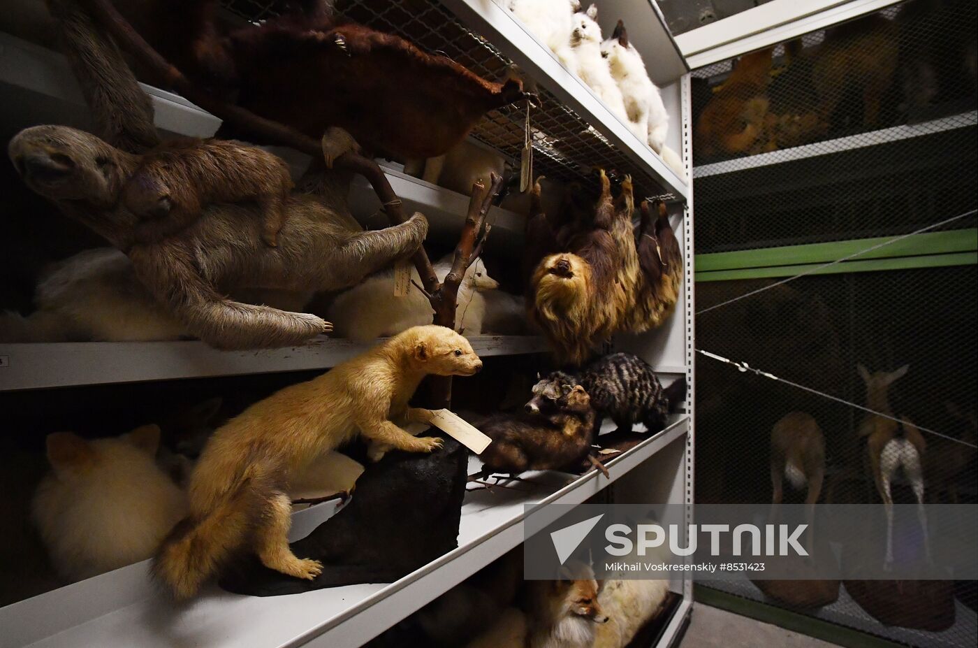 Russia Darwin Museum Anniversary