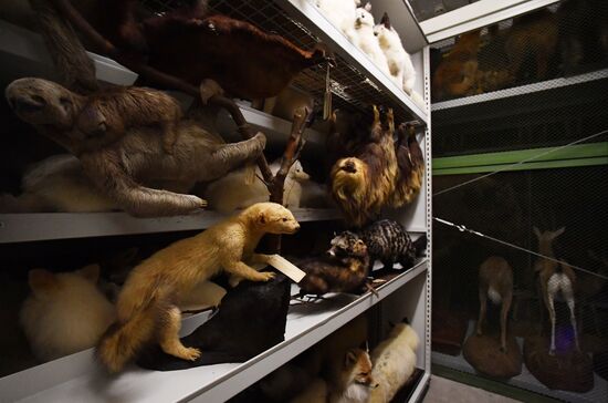 Russia Darwin Museum Anniversary