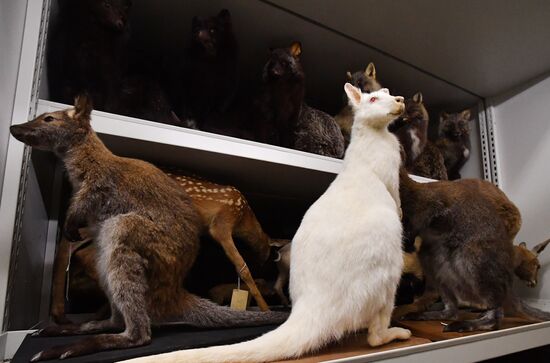 Russia Darwin Museum Anniversary