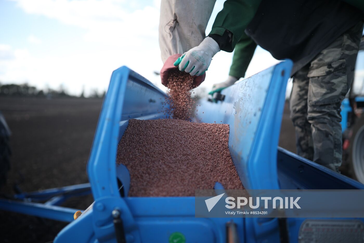 Russia Agriculture Winter Wheat Sowing