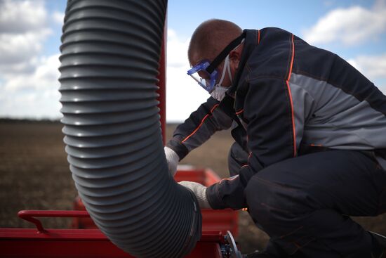 Russia Agriculture Winter Wheat Sowing