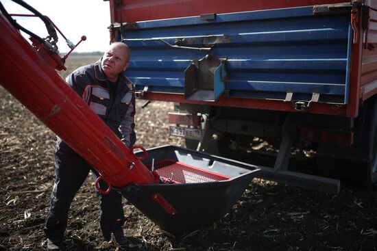 Russia Agriculture Winter Wheat Sowing