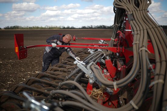 Russia Agriculture Winter Wheat Sowing