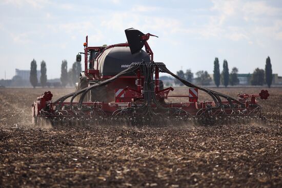 Russia Agriculture Winter Wheat Sowing