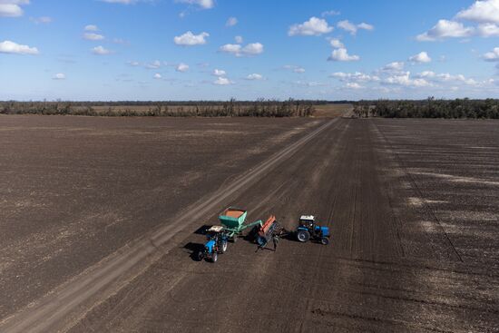 Russia Agriculture Winter Wheat Sowing