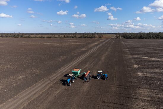 Russia Agriculture Winter Wheat Sowing