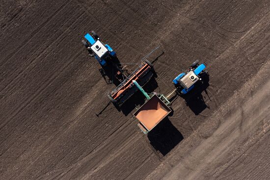 Russia Agriculture Winter Wheat Sowing