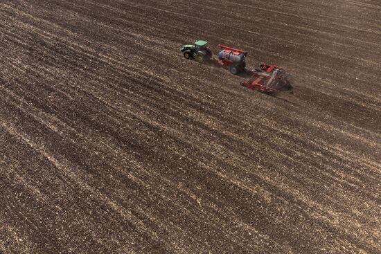 Russia Agriculture Winter Wheat Sowing