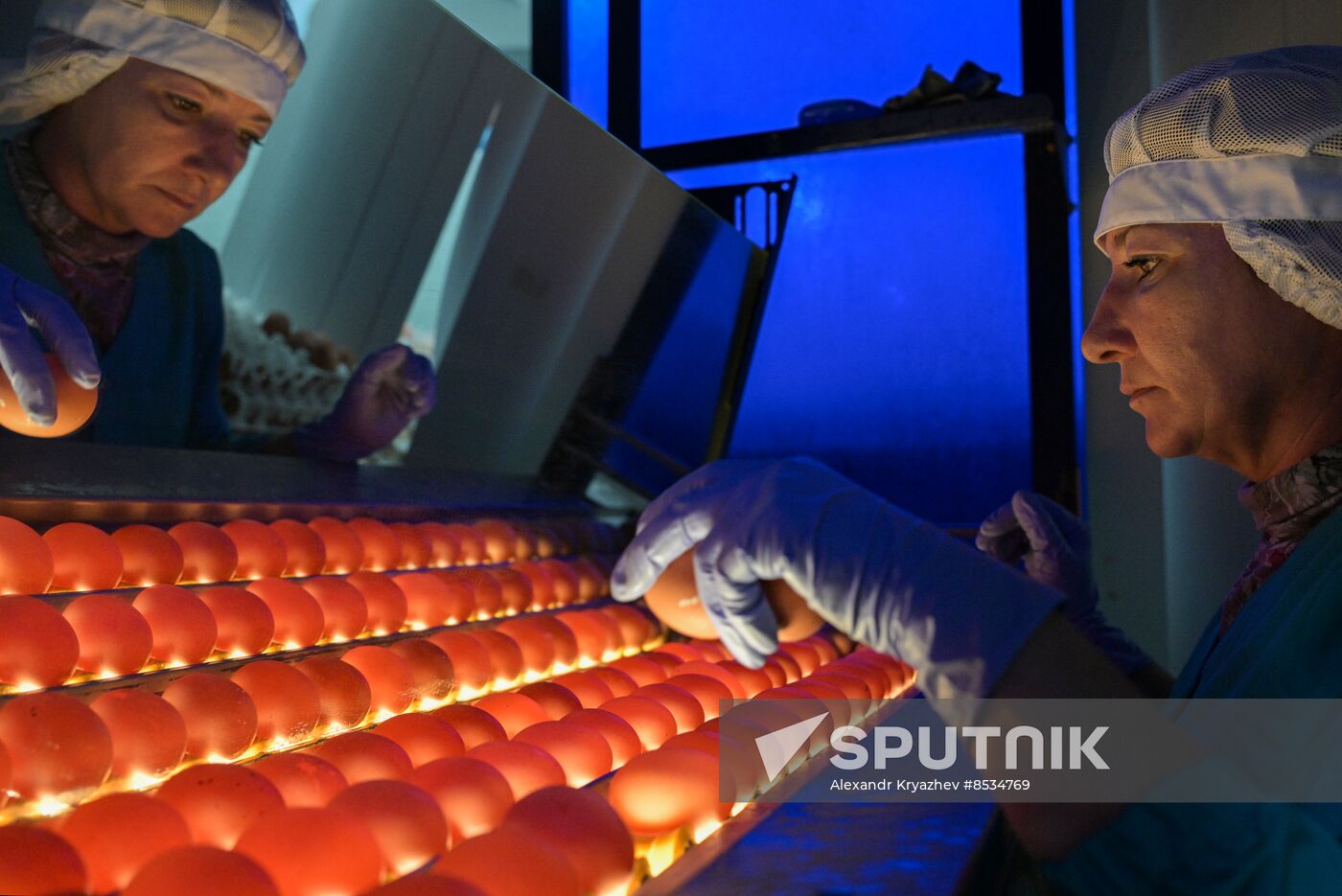 Russia Agriculture Poultry