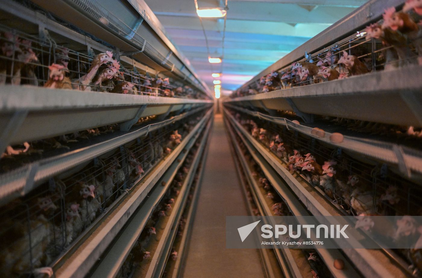 Russia Agriculture Poultry