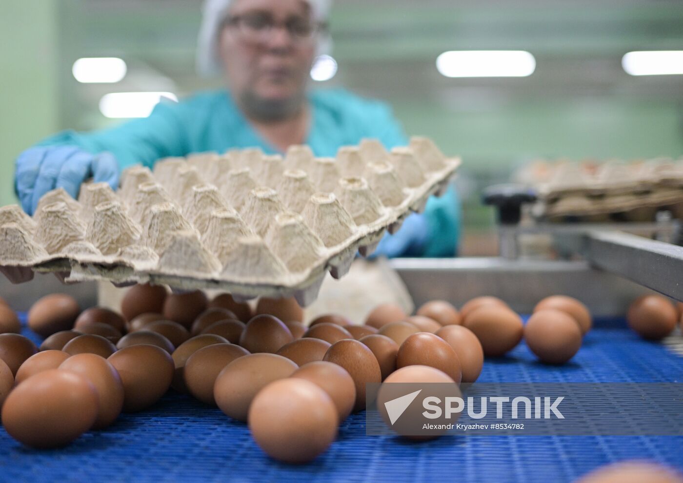 Russia Agriculture Poultry