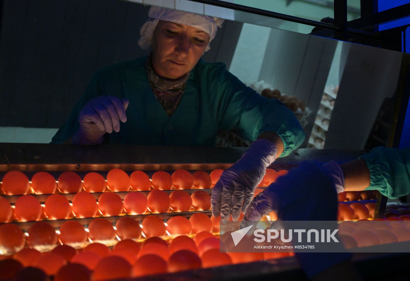 Russia Agriculture Poultry
