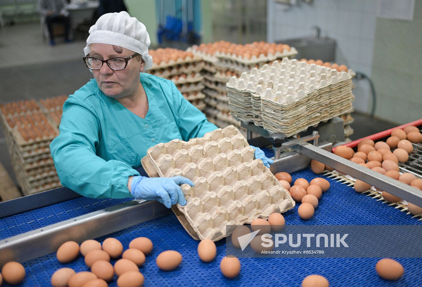 Russia Agriculture Poultry