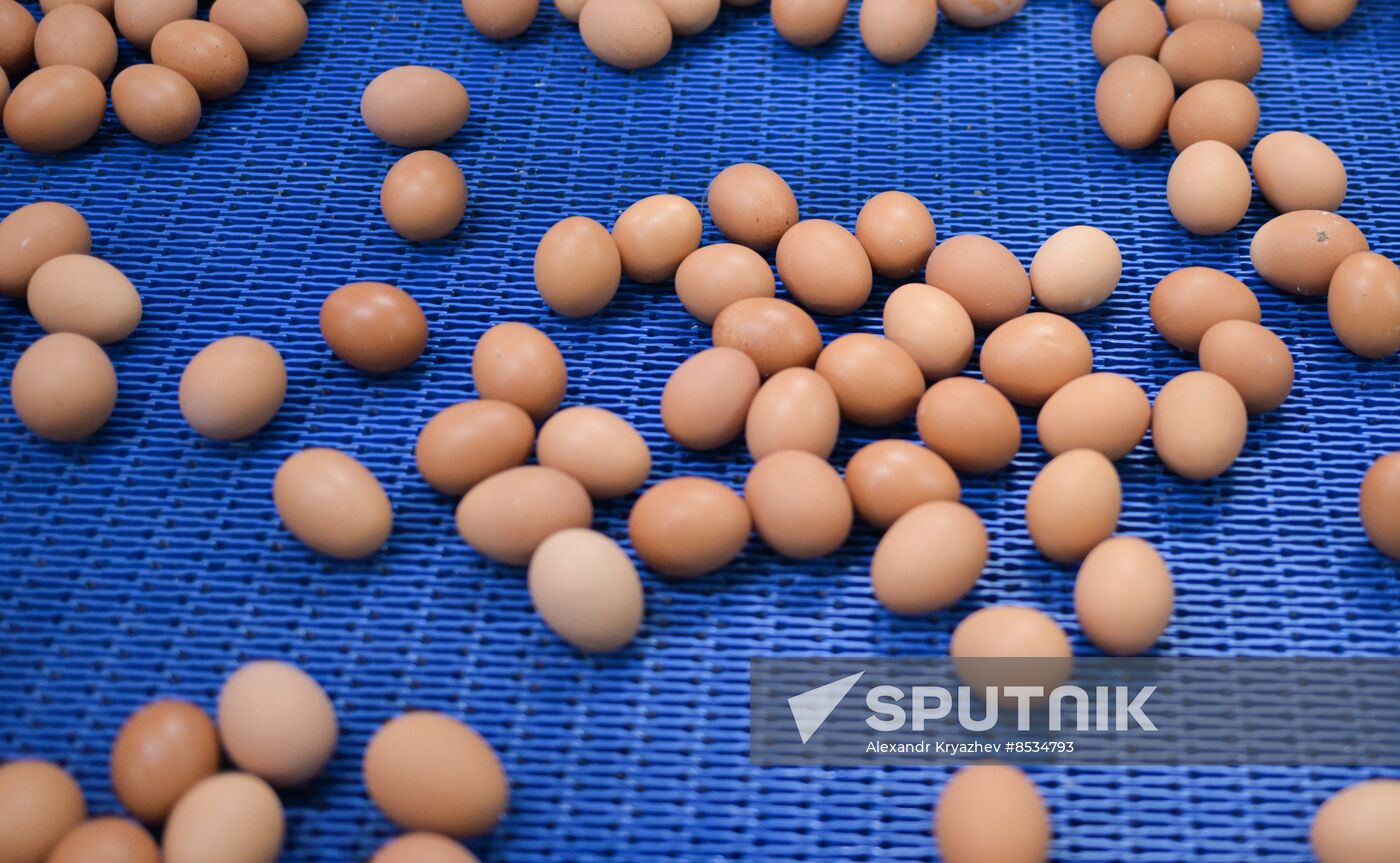 Russia Agriculture Poultry