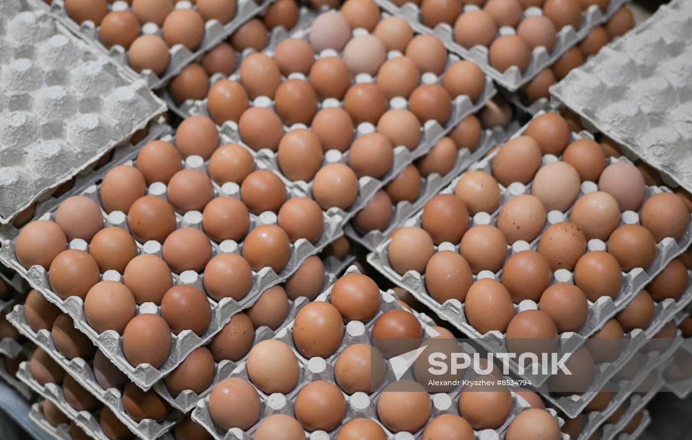 Russia Agriculture Poultry