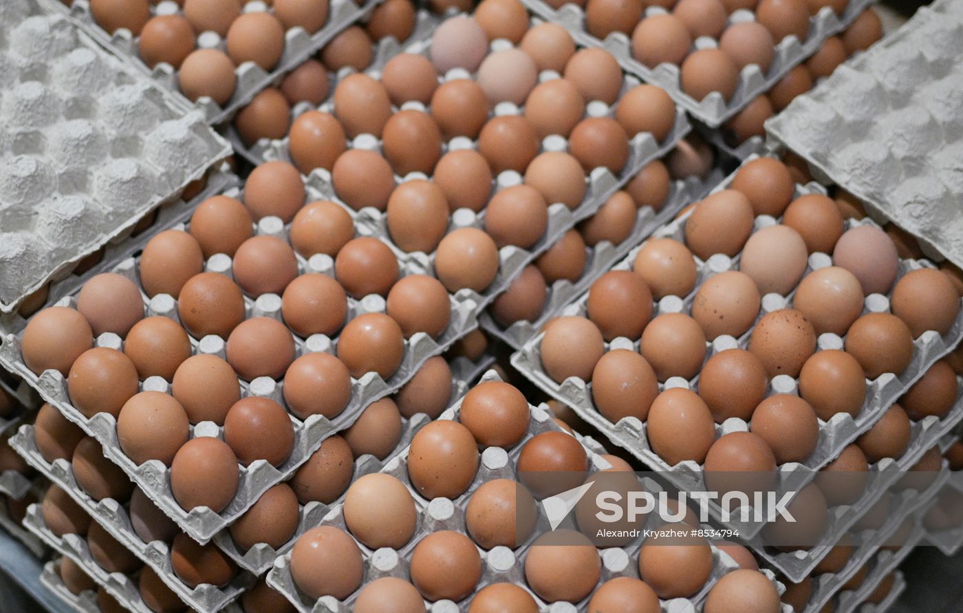 Russia Agriculture Poultry