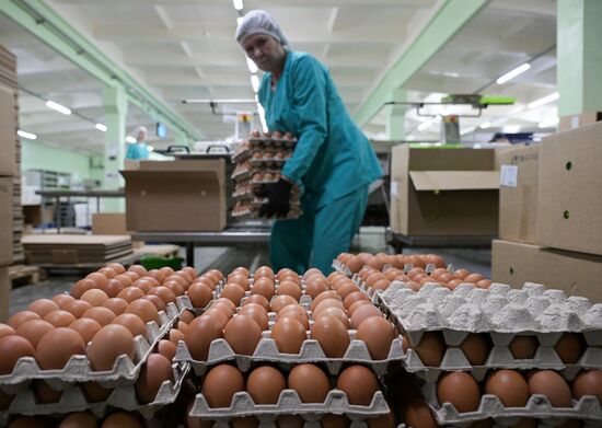 Russia Agriculture Poultry