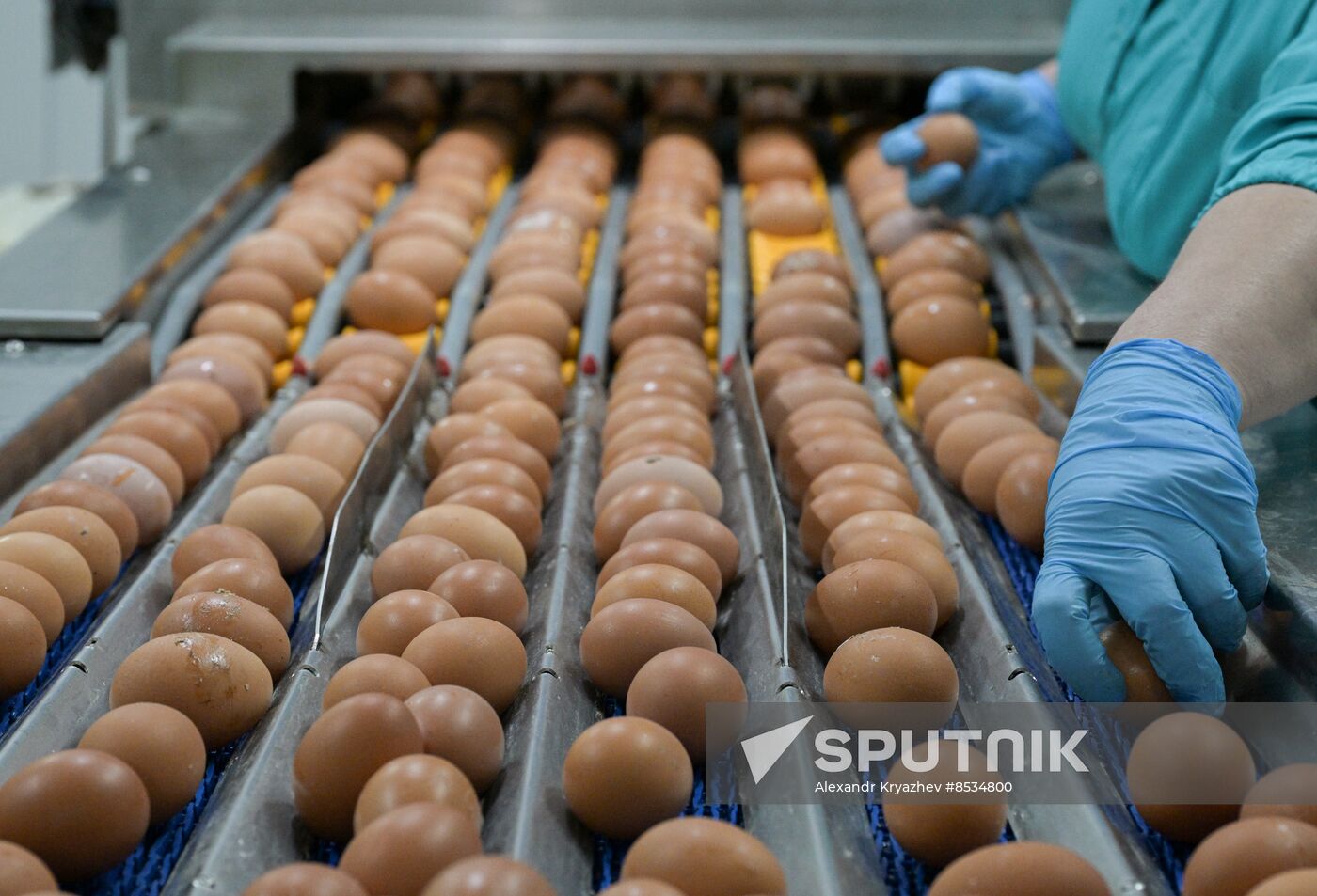 Russia Agriculture Poultry