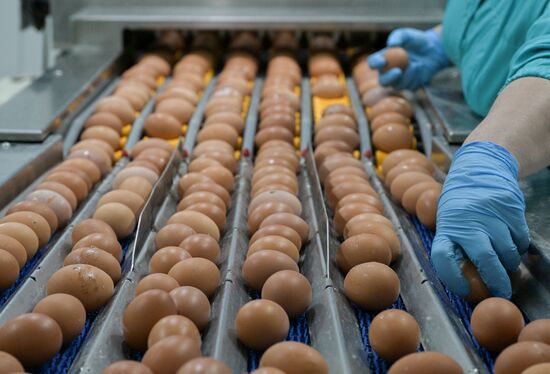 Russia Agriculture Poultry