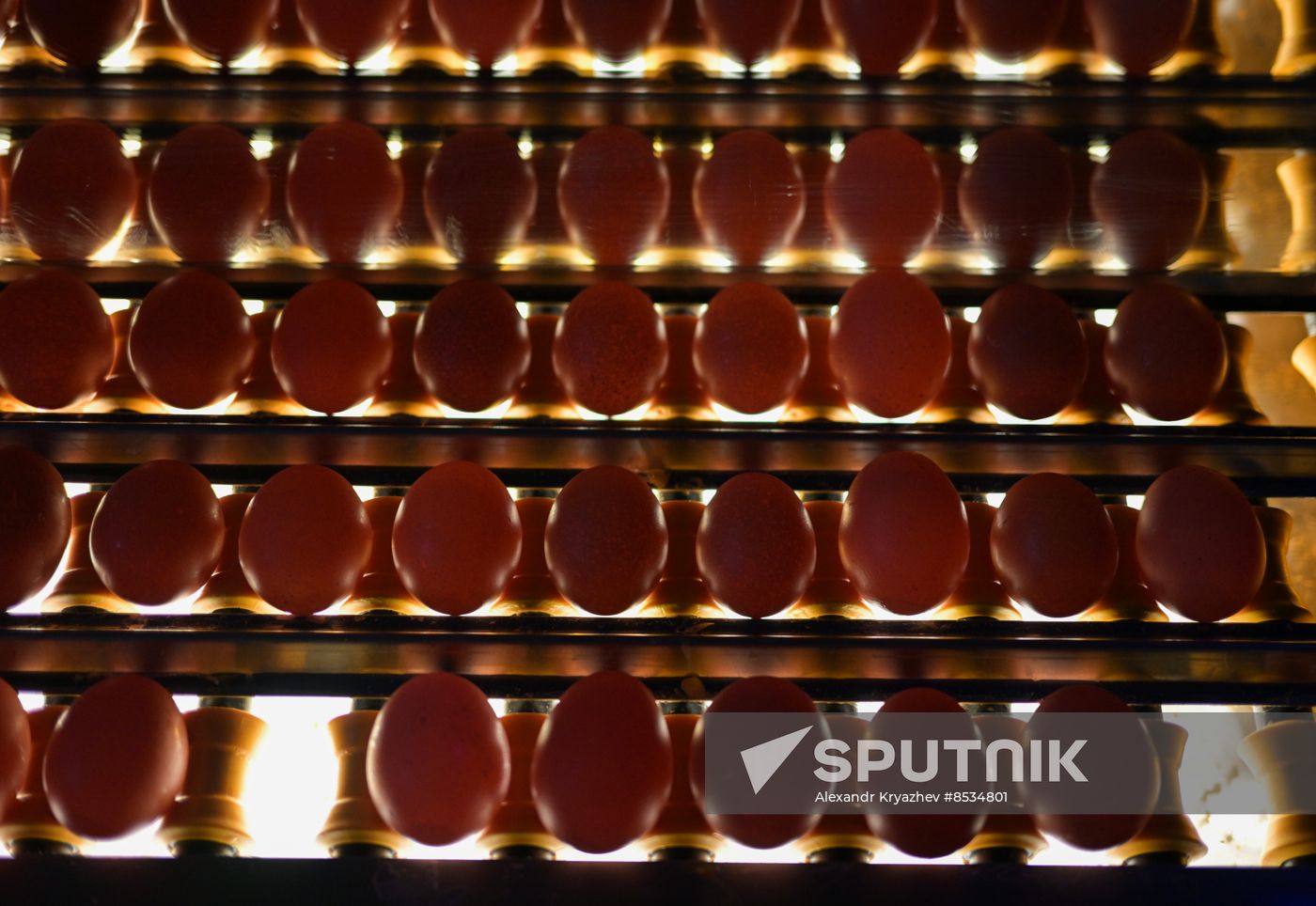 Russia Agriculture Poultry
