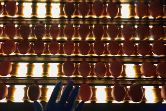 Russia Agriculture Poultry