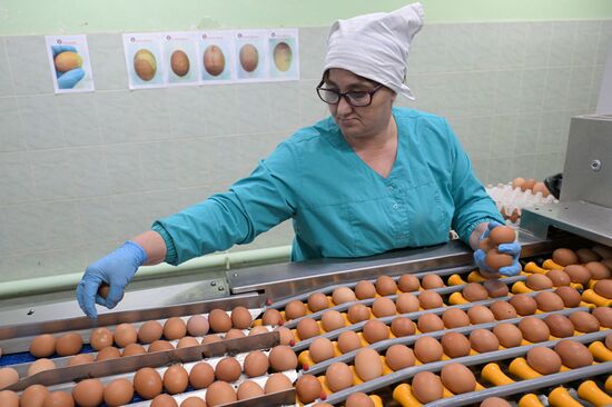 Russia Agriculture Poultry