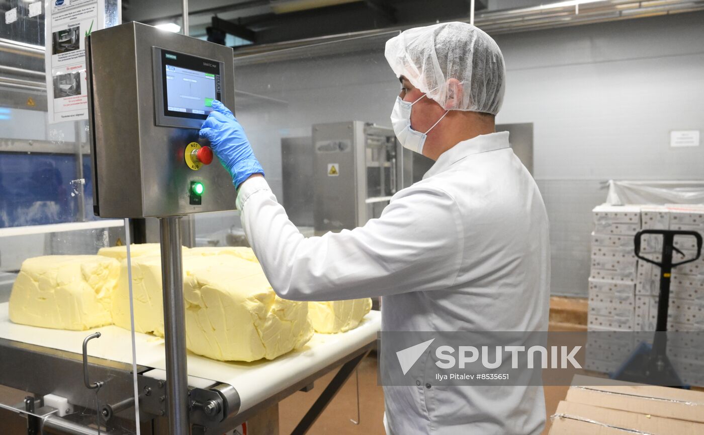 Russia Dairy Industry